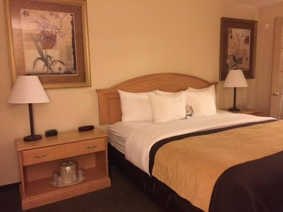 A hotel room with a wooden headboard, a bed with white bedding, a nightstand with a lamp, and a small table with a cup and saucer.