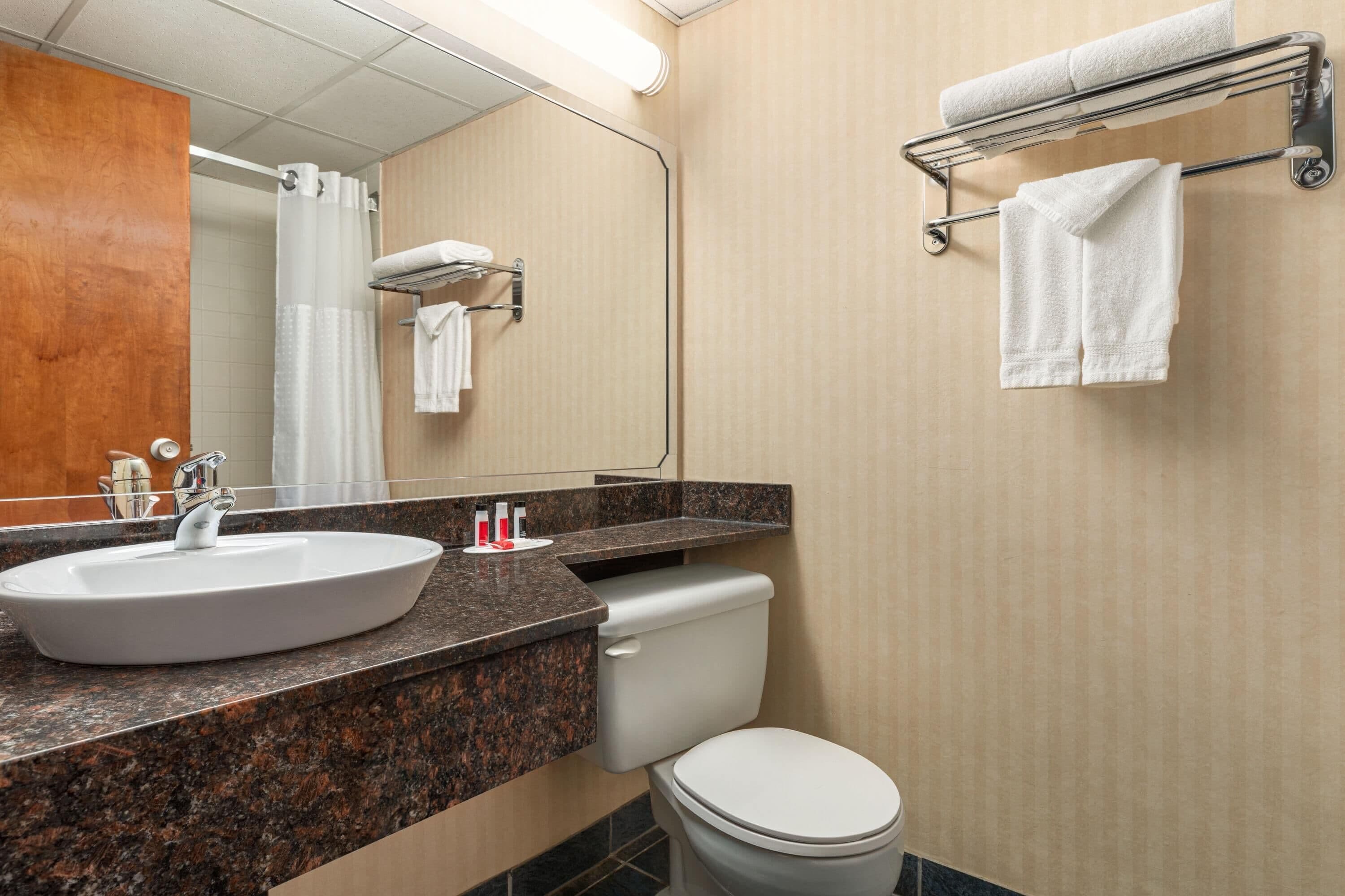 A bathroom with a sink, toilet, and towel rack.