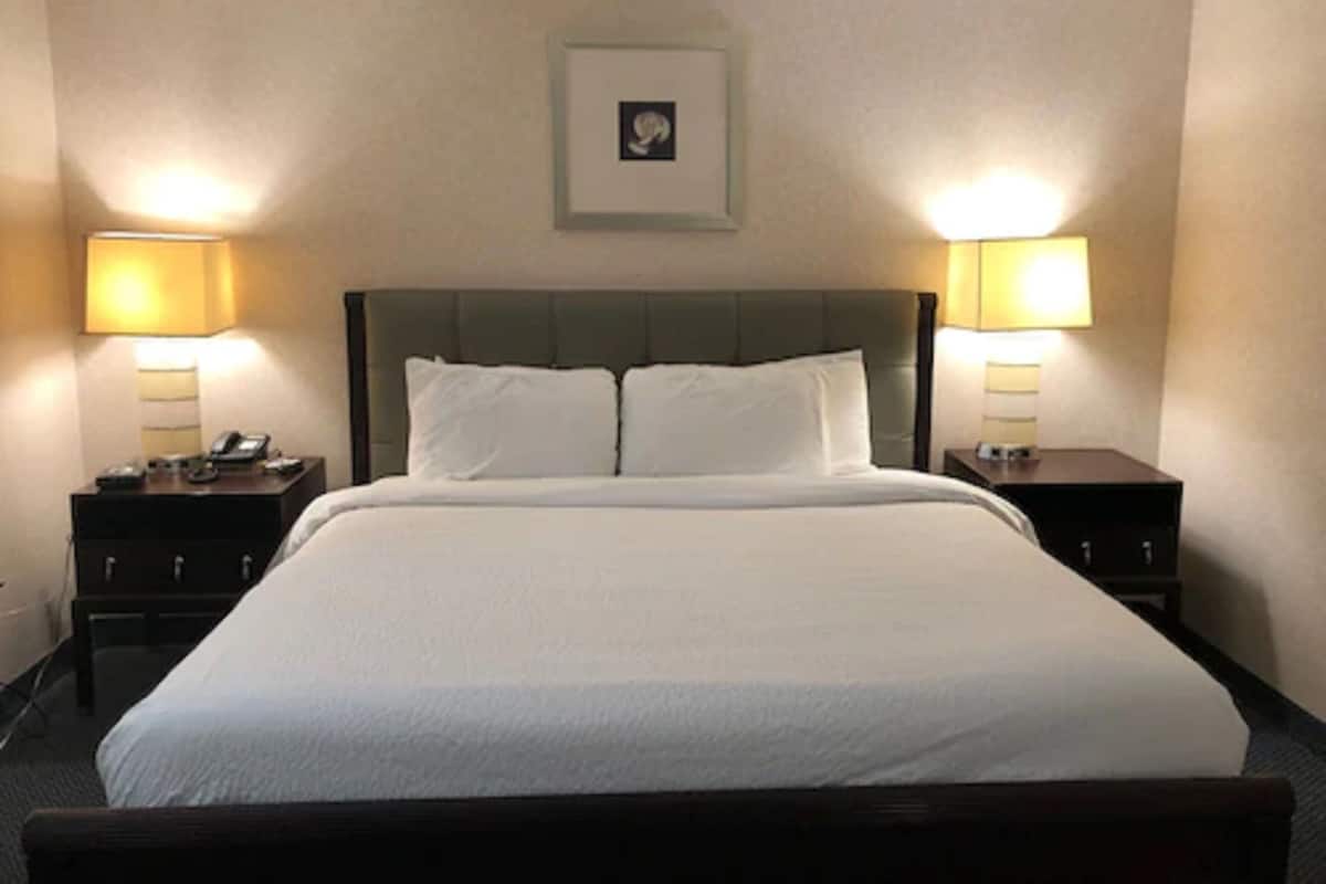 Une chambre d’hôtel avec un grand lit, deux tables de chevet avec des lampes, un tableau encadré au mur et un sol recouvert de moquette.