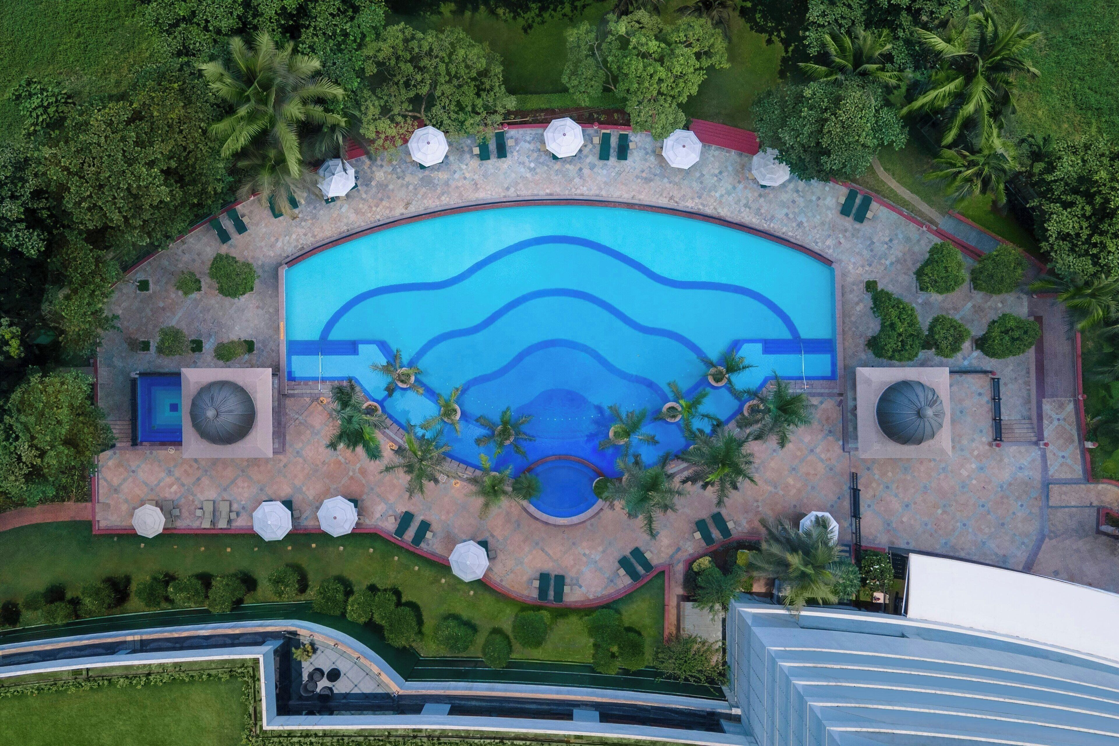 Vista aérea de una piscina rodeada de palmeras, sillas de descanso y un jardín bien cuidado.