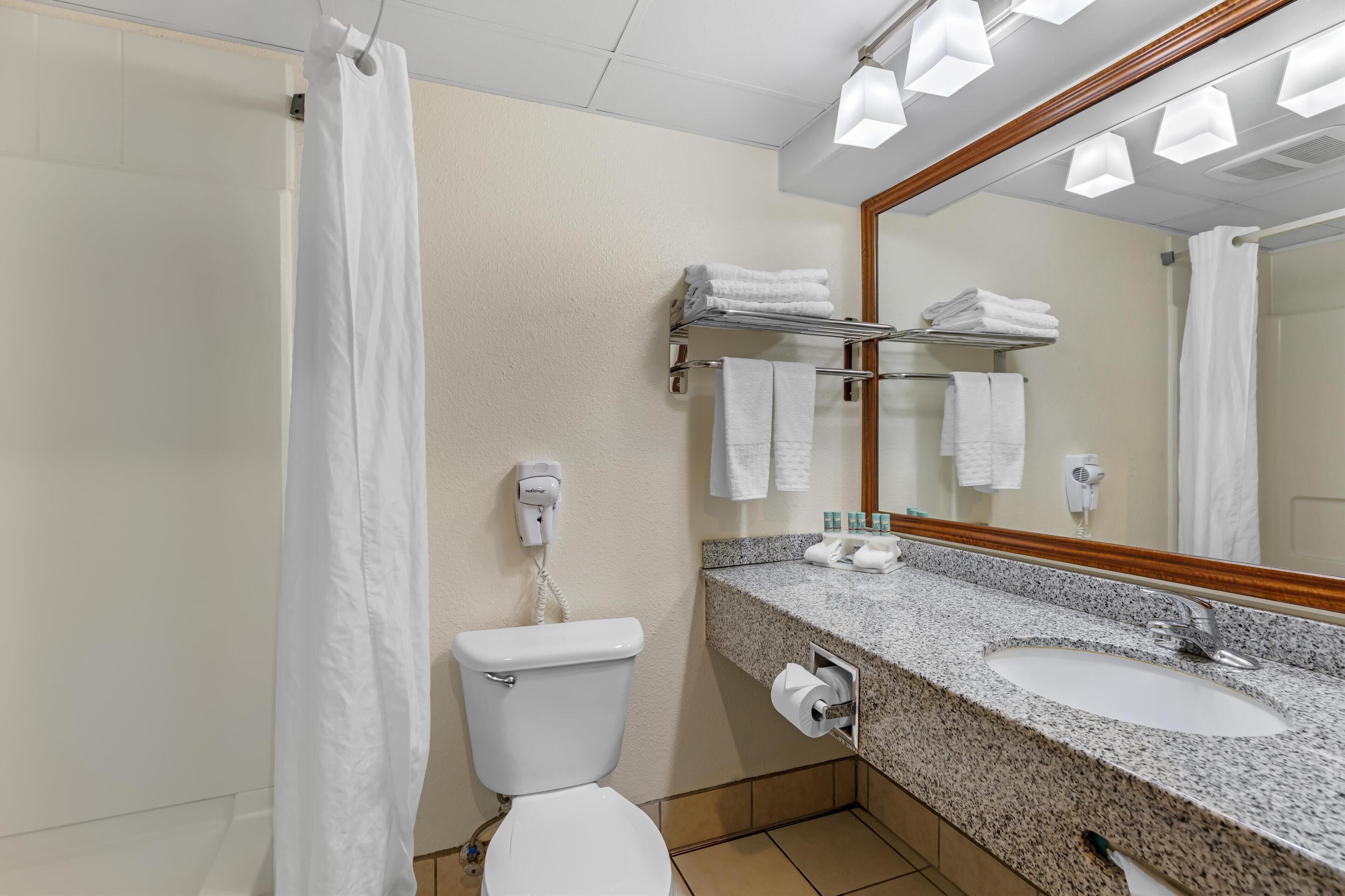 suite, 1 queen bed, refrigerator & microwave, mountain view (with sofabed) | bathroom | free toiletries, hair dryer, towels, soap