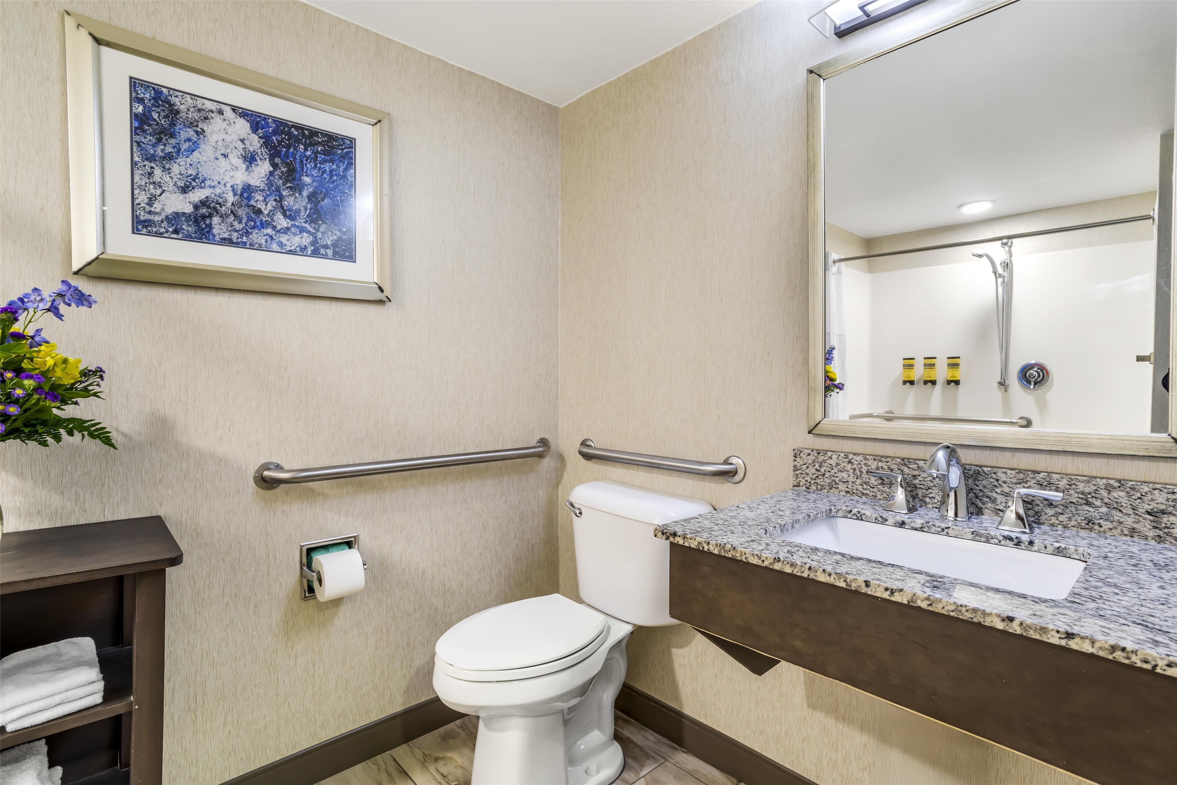 Un baño con inodoro, barras de apoyo, lavabo con espejo y un cuadro en la pared.
