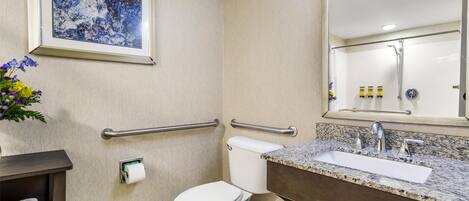 Un baño con inodoro, barras de apoyo, lavabo con espejo y un cuadro en la pared.