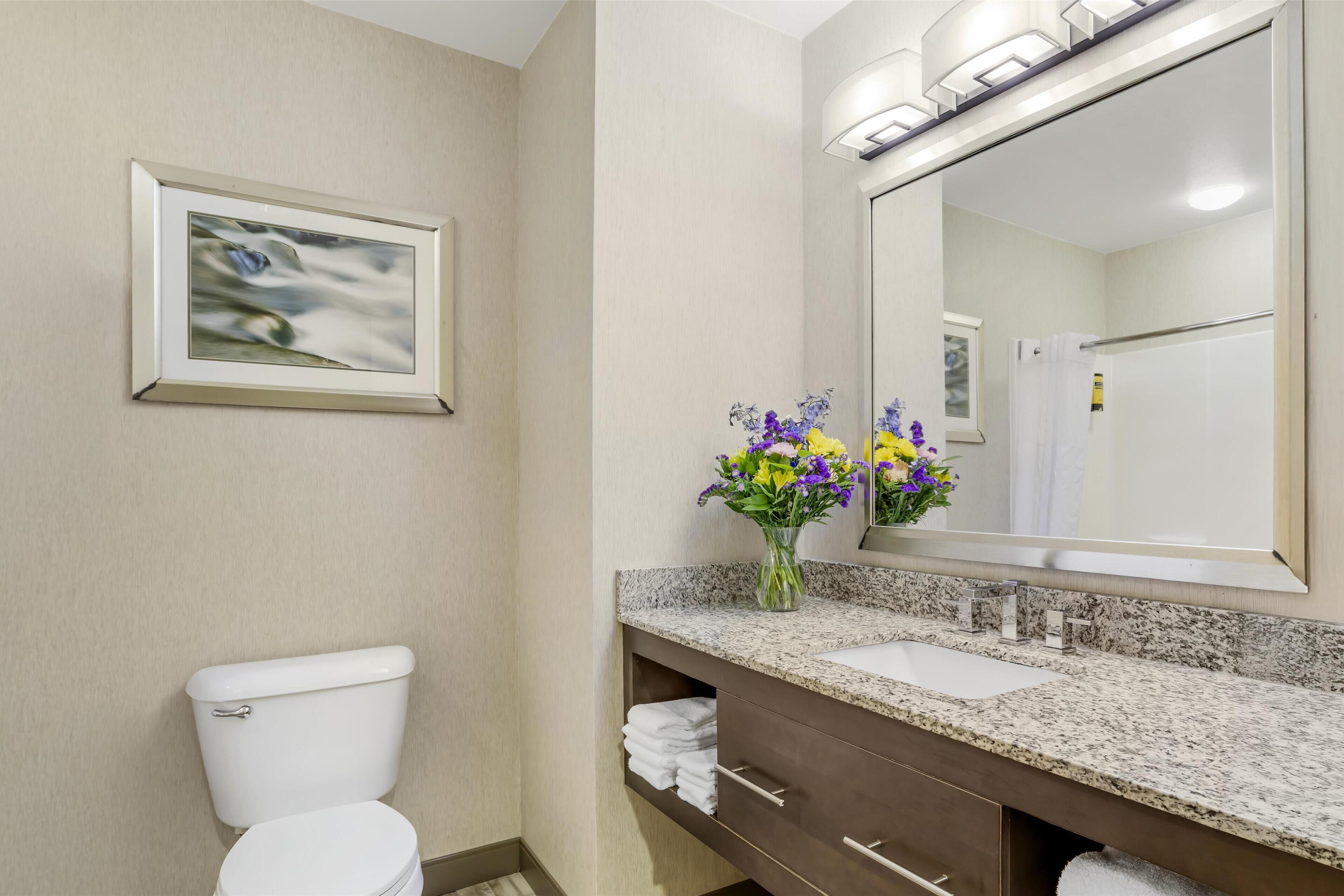 combined shower/bathtub, free toiletries, hair dryer, towels