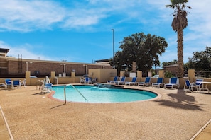 Outdoor pool, pool loungers