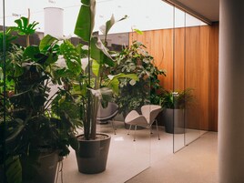 Desayuno buffet diario (CZK 740 por persona)