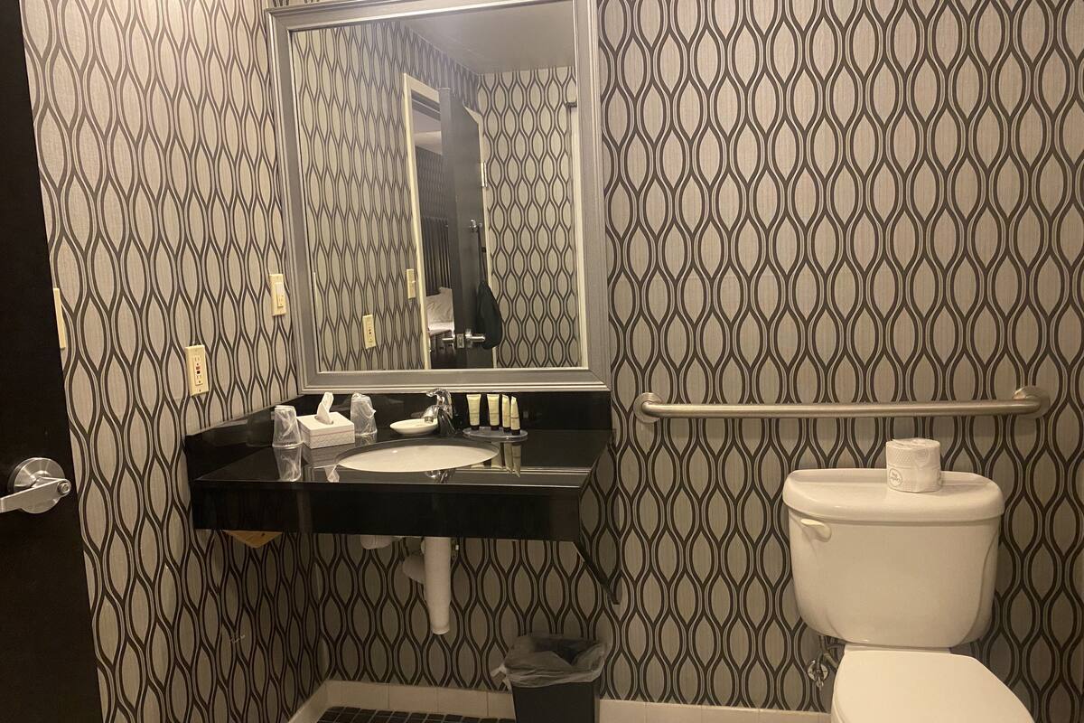 deluxe room, 1 queen bed, accessible | bathroom | combined shower/bathtub, designer toiletries, hair dryer, towels