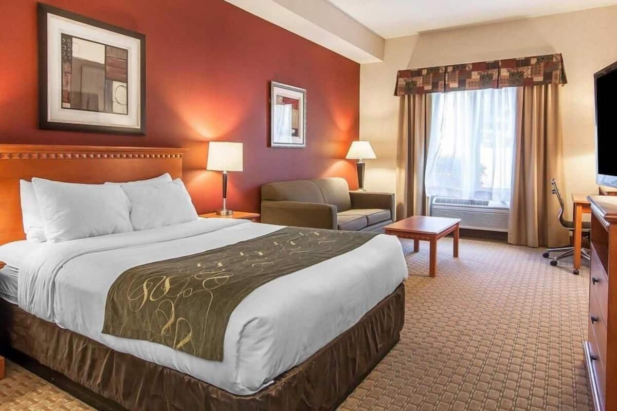 Premium bedding, individually decorated, individually furnished, desk