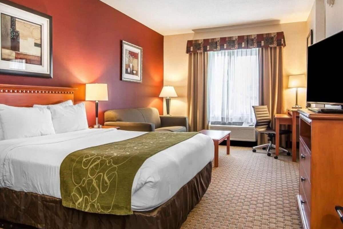Premium bedding, individually decorated, individually furnished, desk