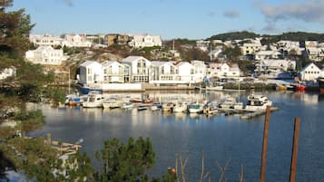 Premium bedding, down duvets, pillow-top beds, in-room safe