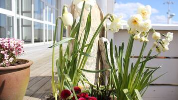 Ein Topf mit weißen Blüten und roten Knospen auf einer Holzterrasse.