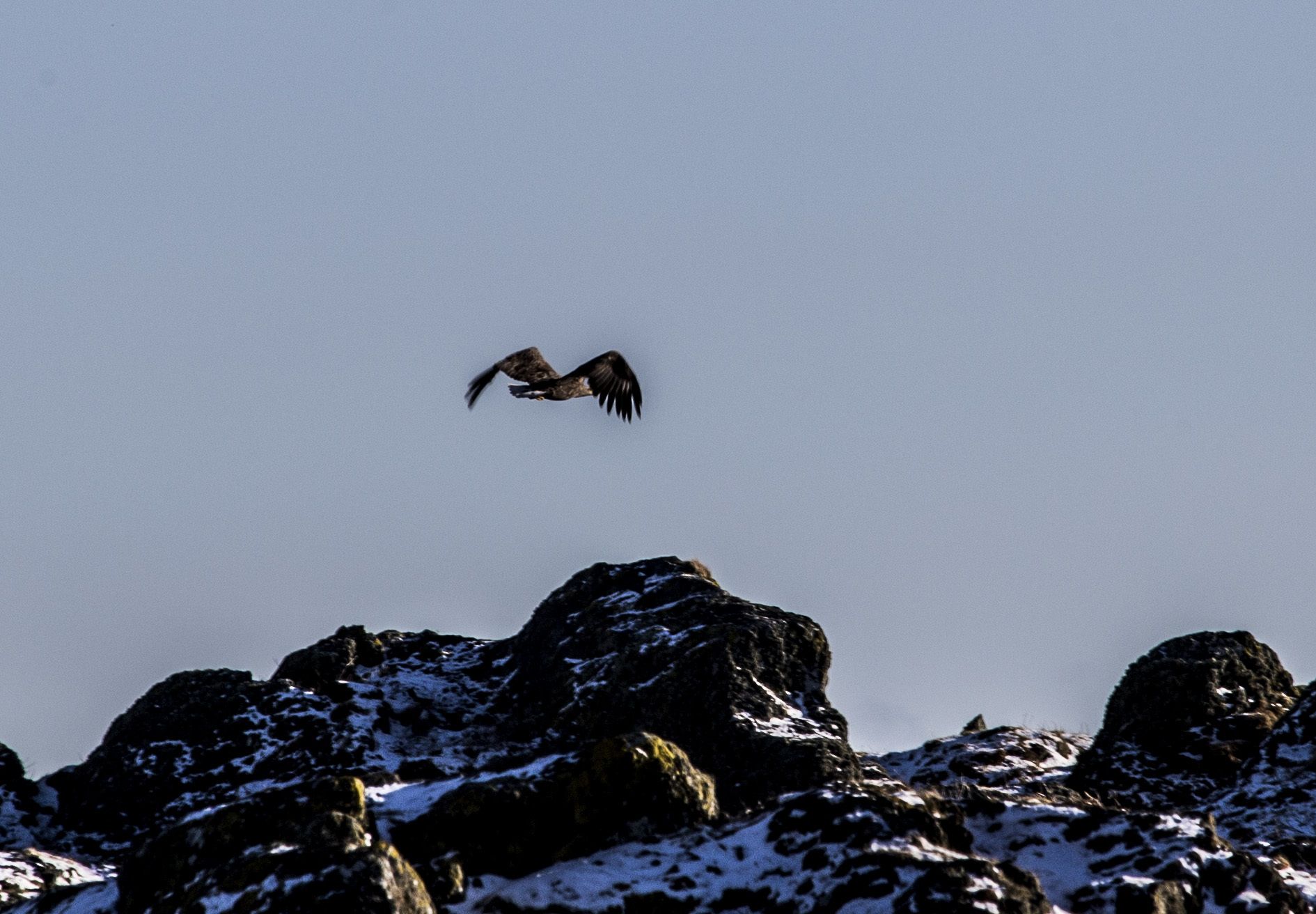 superior double room, 2 single beds, harbour view | exterior