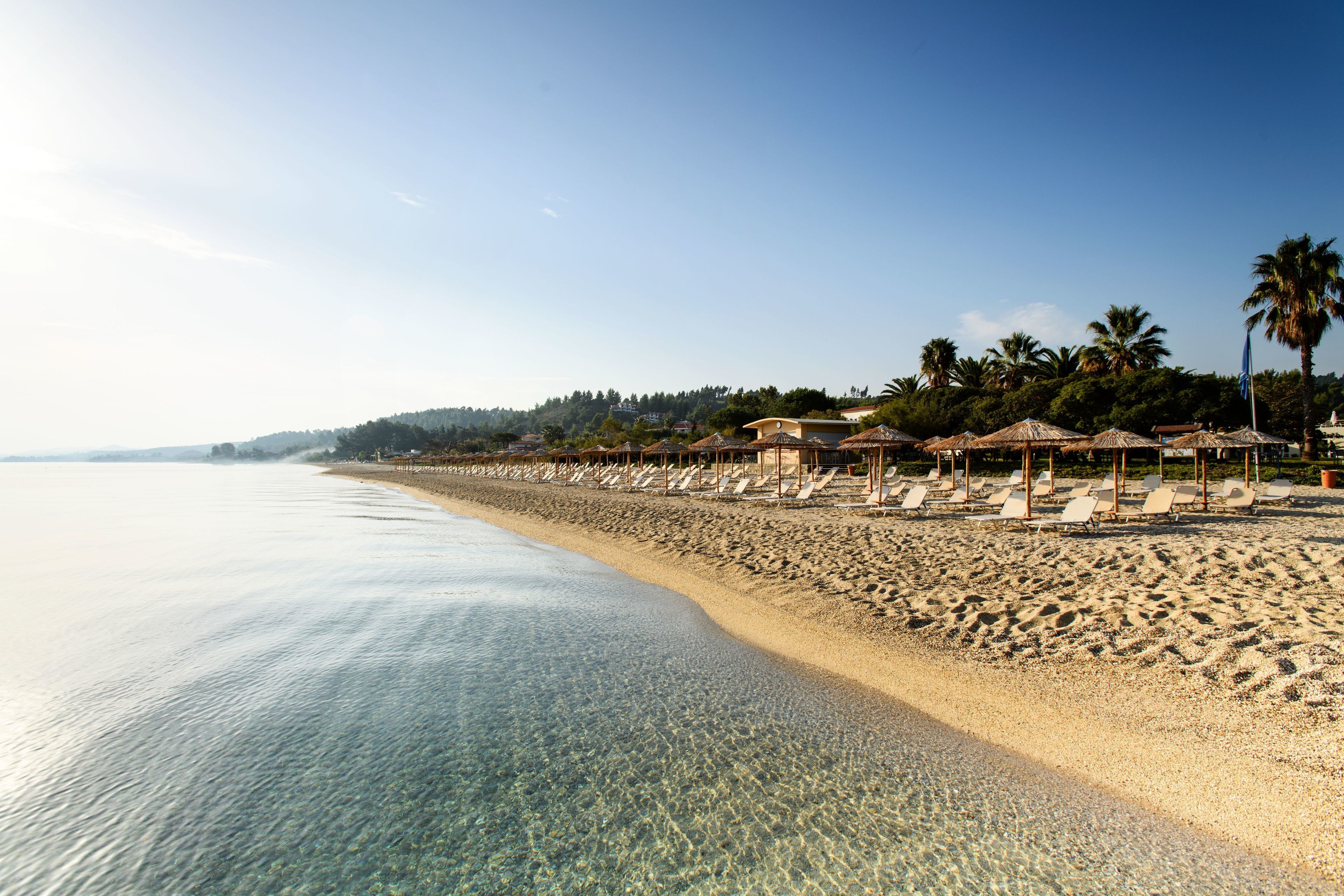 Una spiaggia con acque cristalline, lettini e palme.