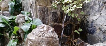 Hotel Don Carlos