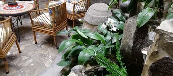 Hotel Don Carlos