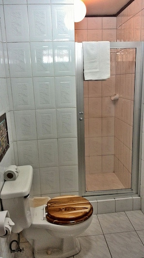 Bathroom - Hotel Don Carlos (San José)