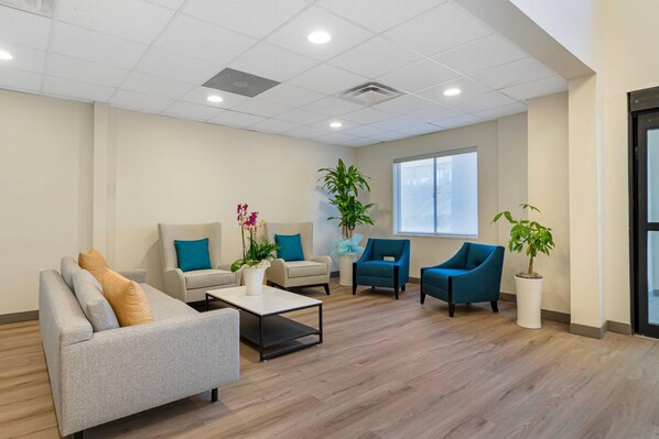 Un área de espera moderna con un sofá gris, un sillón azul y una mesa de centro. Hay plantas en macetas y una ventana que proporciona luz natural.
