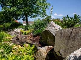 经典双人房 | 花园景观