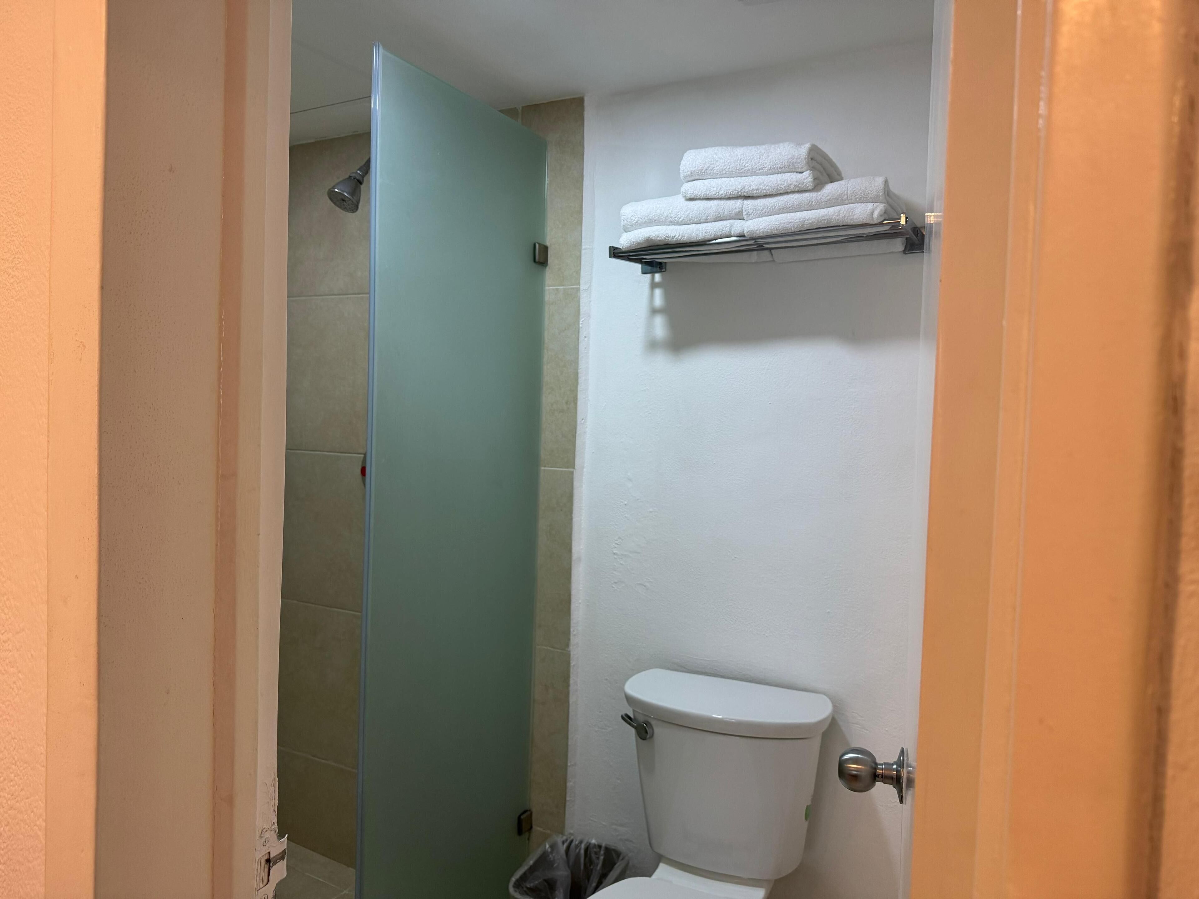 Ein Badezimmer mit Toilette, Dusche und Handtuchhalter.