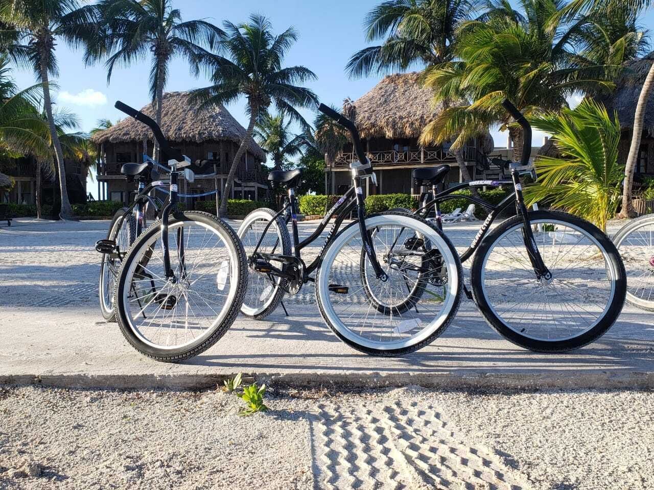 A bicycle parked on a sandy surface with a thatched-roof building and palm trees in the background.