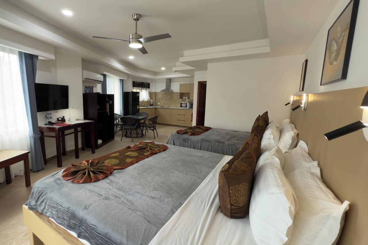 Standard Studio Suite | Private kitchen