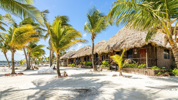 A beachside resort with thatched-roof huts, palm trees, and a sandy beach. - Captain Morgan's Retreat (San Pedro)