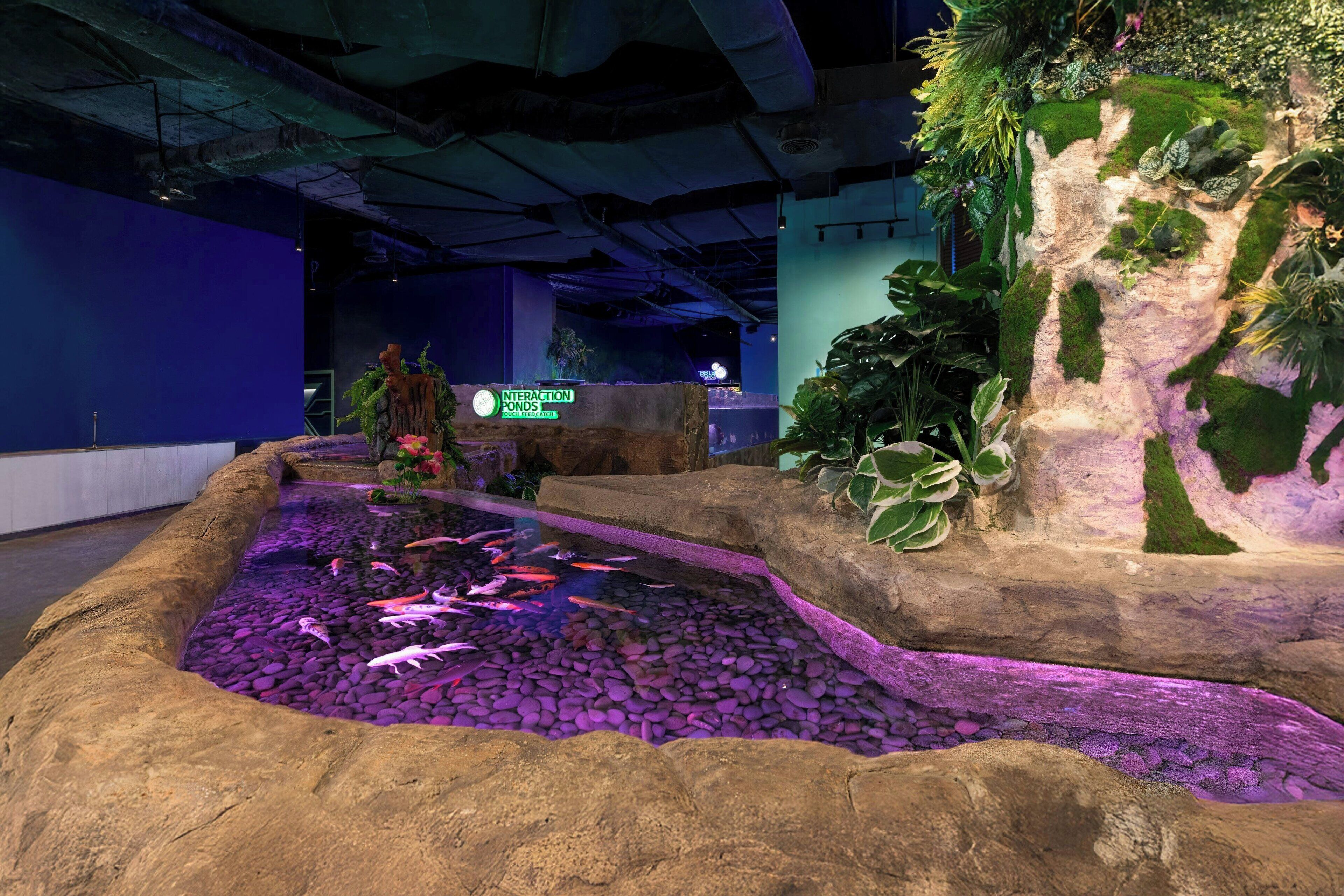 Équipement de l’hébergement