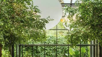 4 restaurantes, se sirven desayunos, comidas y cocina internacional