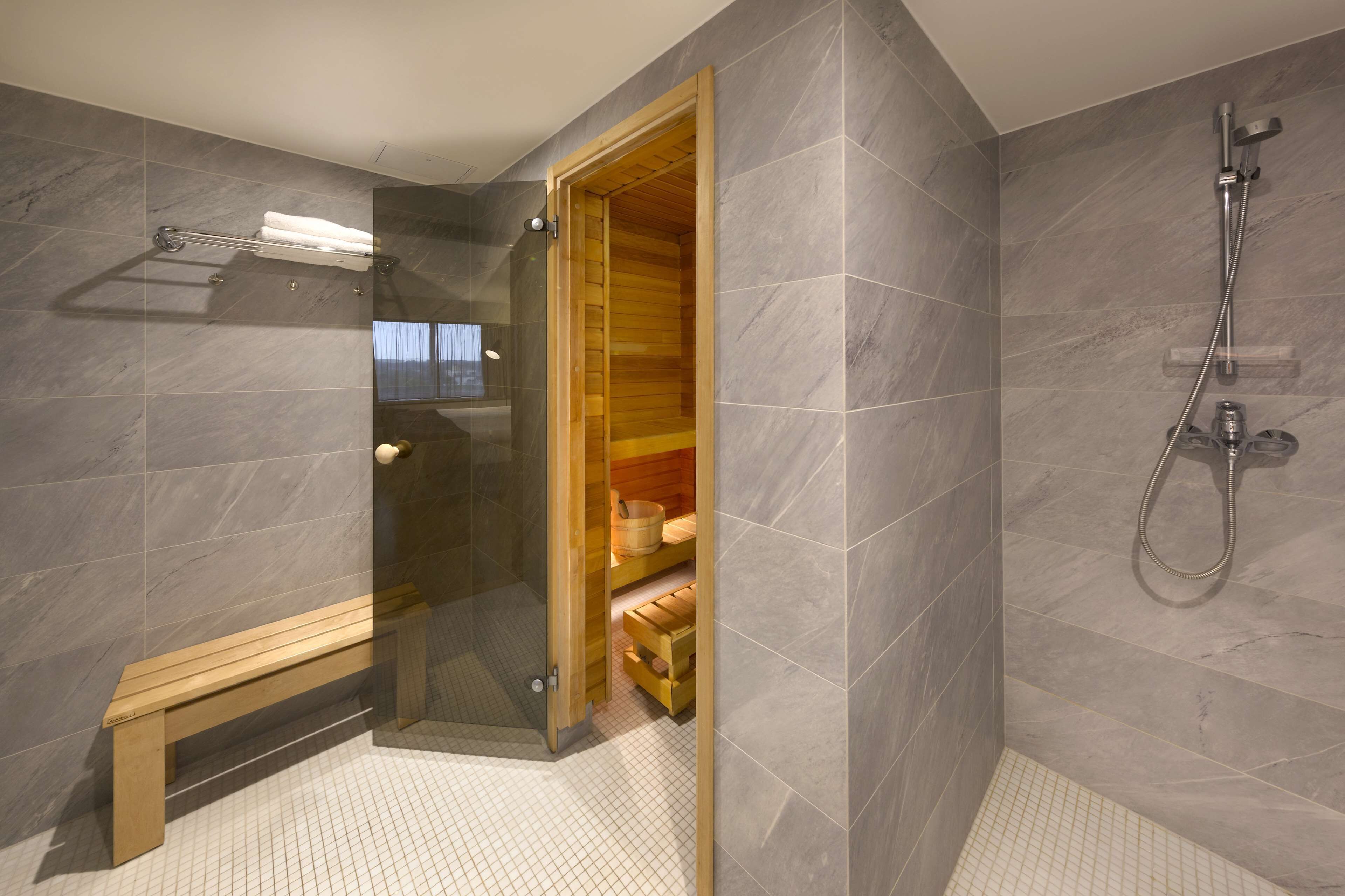 combined shower/bathtub, free toiletries, hair dryer, towels