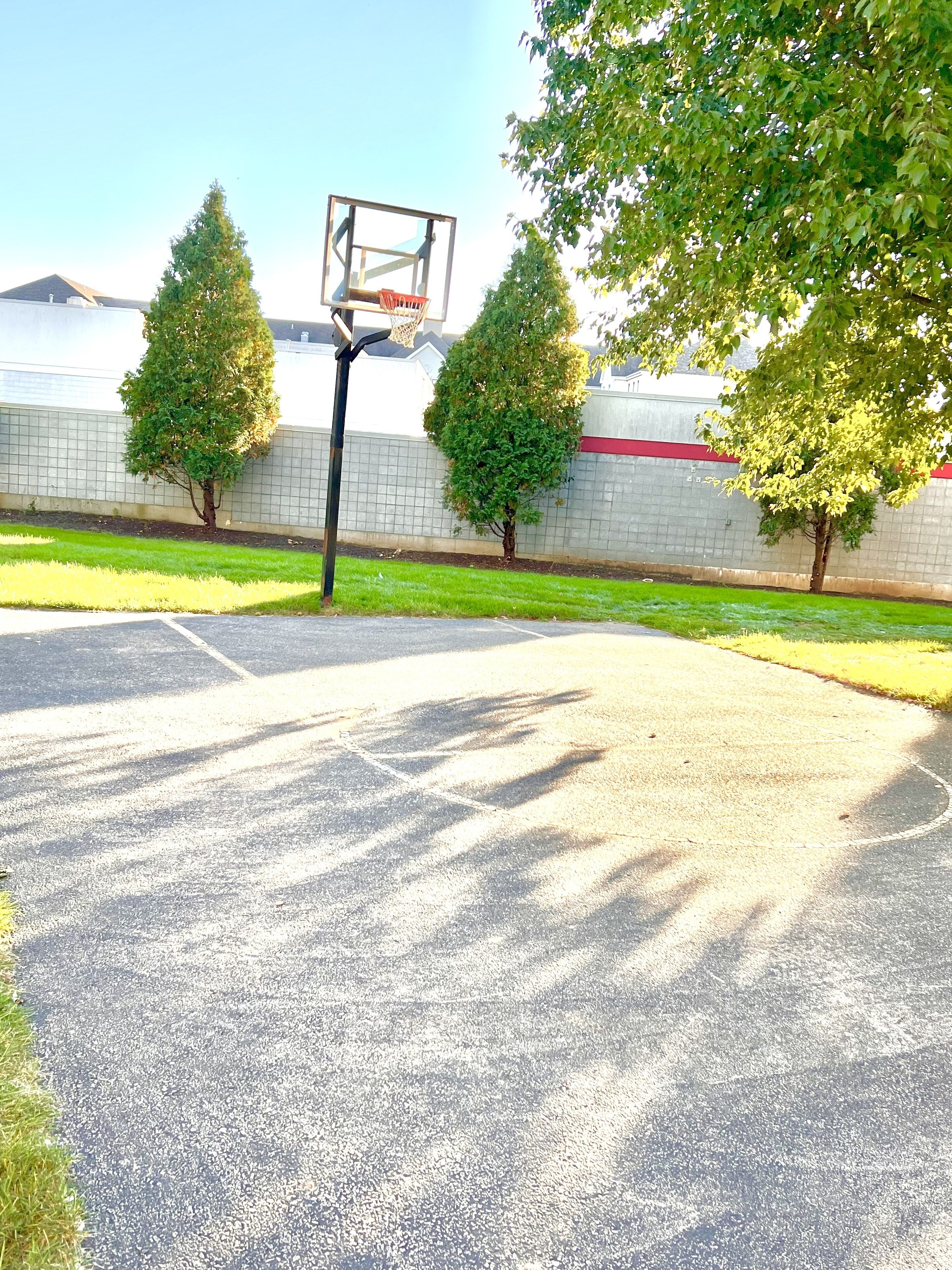 Foto - MainStay Suites Madison Airport