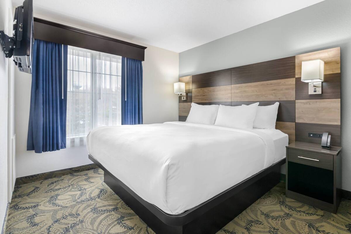 Une chambre d’hôtel avec un grand lit, une table de chevet, un téléviseur fixé au mur et une fenêtre avec des rideaux bleus.
