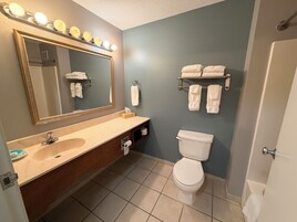 Combined shower/tub, free toiletries, hair dryer, towels
