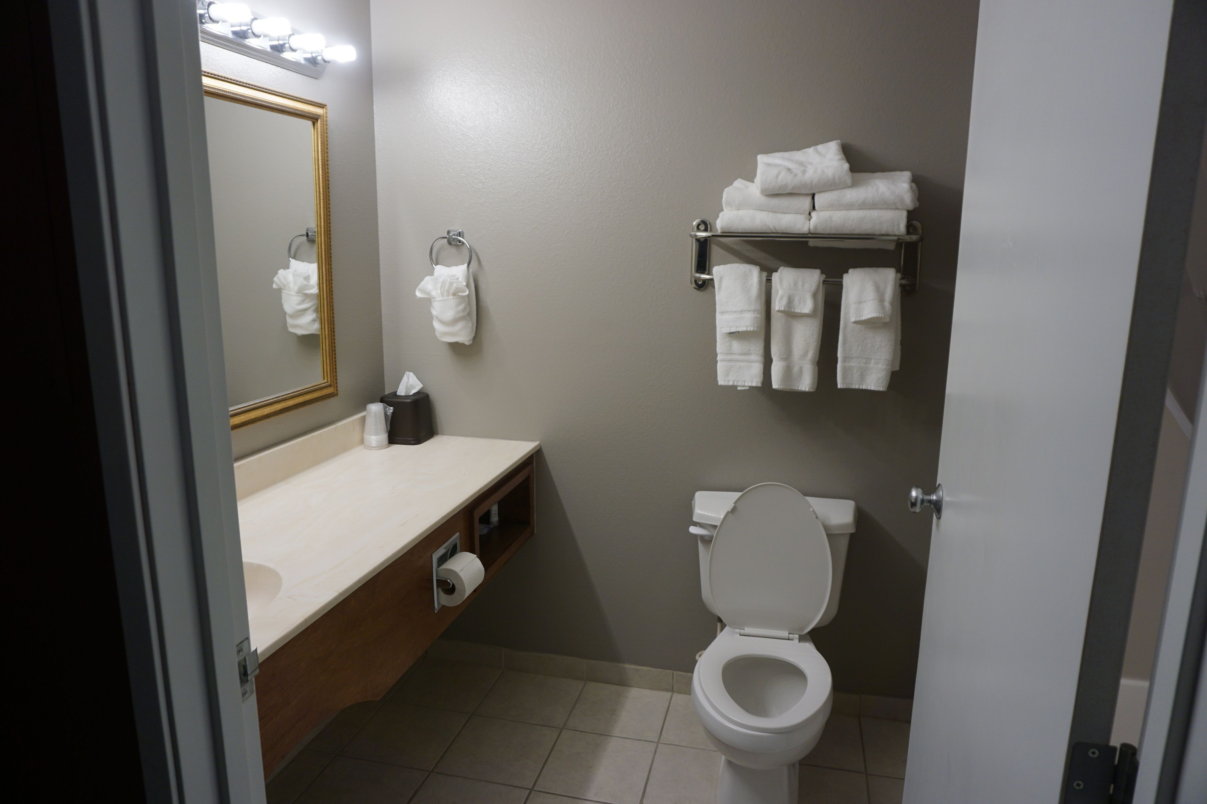 combined shower/bathtub, free toiletries, hair dryer, towels