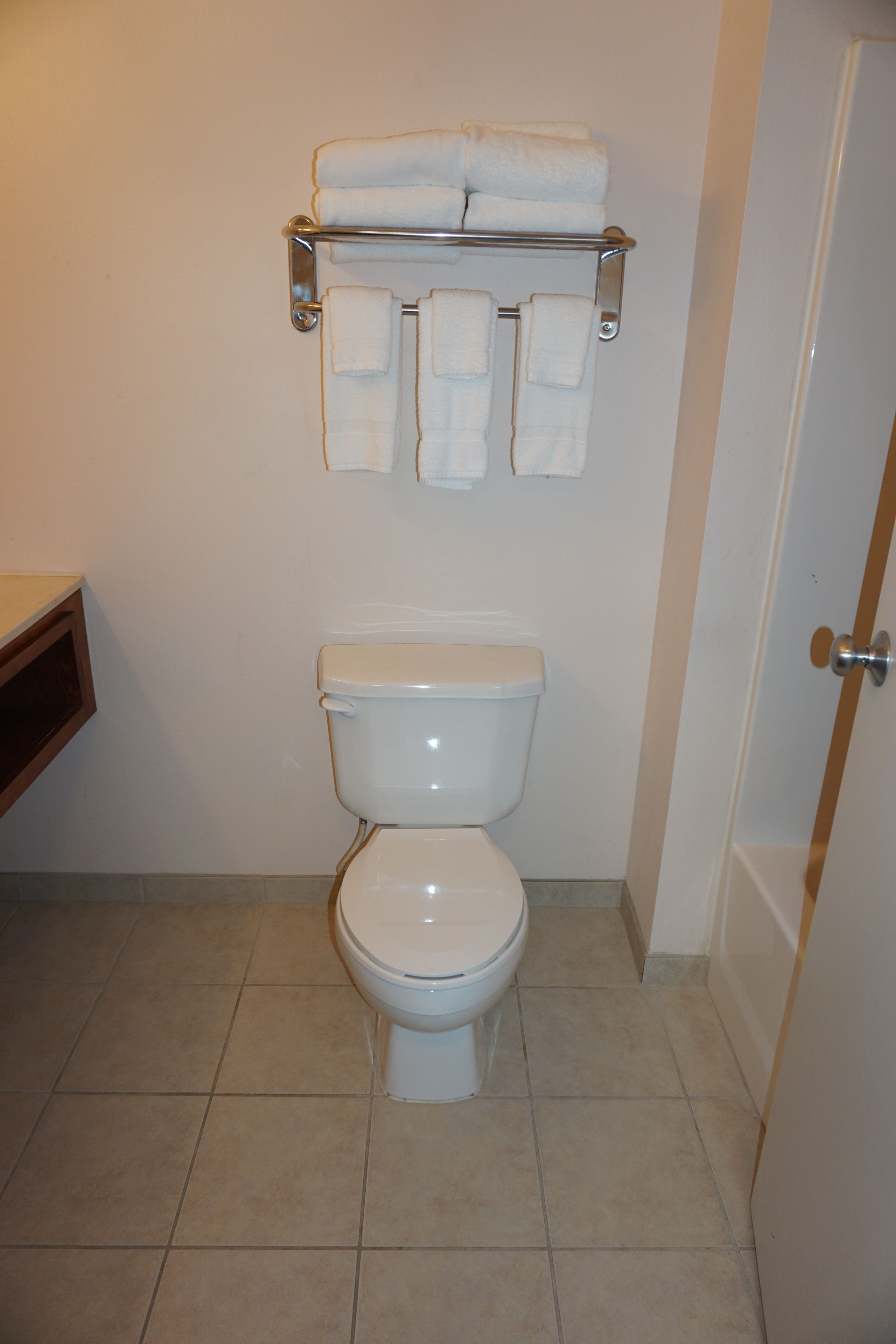 combined shower/bathtub, free toiletries, hair dryer, towels