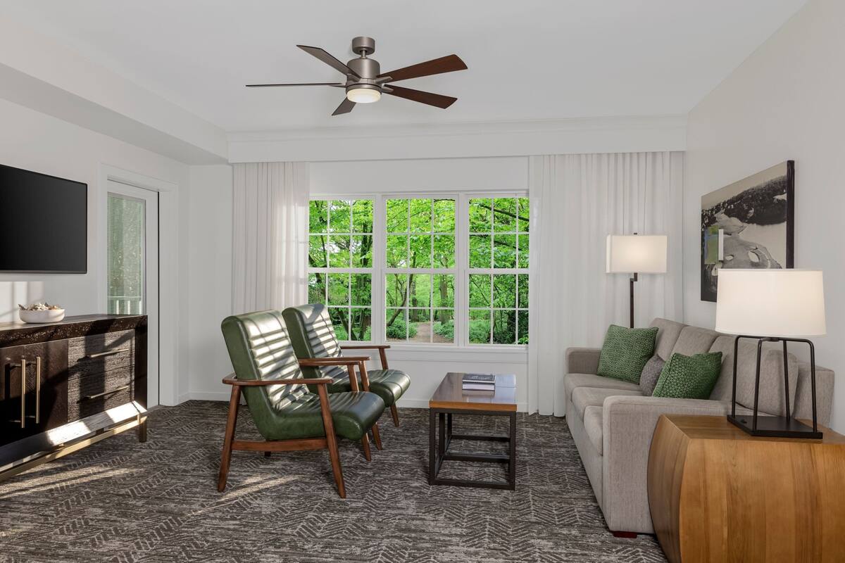 Un salon moderne avec un ventilateur de plafond, une grande fenêtre donnant sur un espace verdoyant, un canapé, un fauteuil, une table basse et un téléviseur posé sur un meuble.