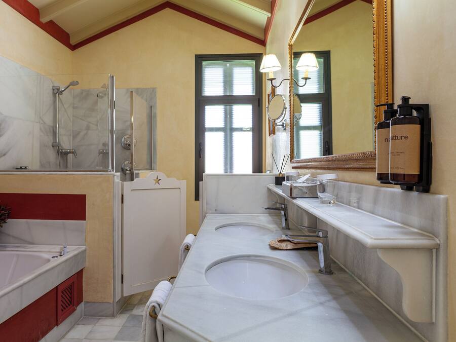 Een badkamer met twee wastafels, een douche en een spiegel.