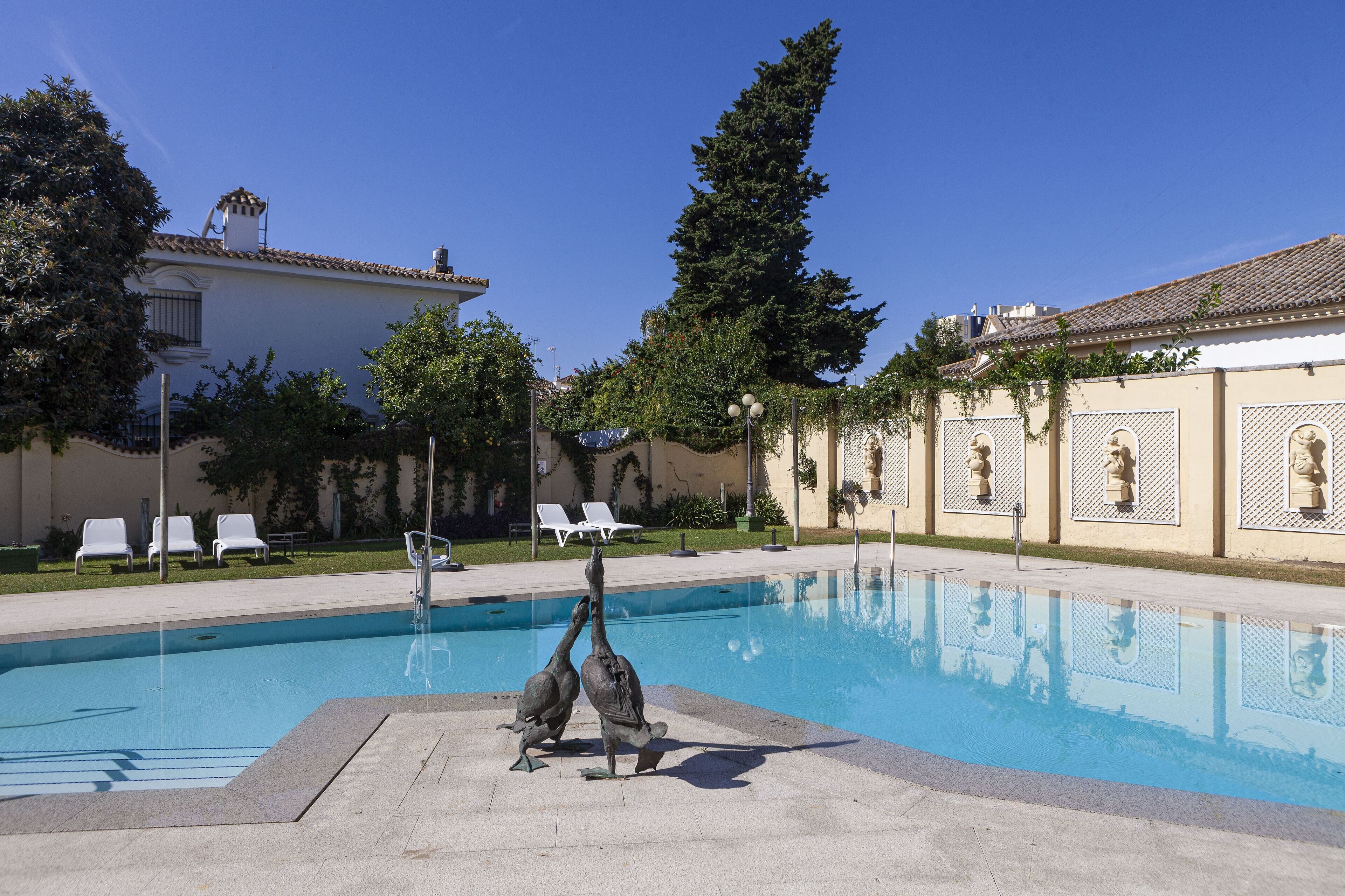 Outdoor pool, sun loungers
