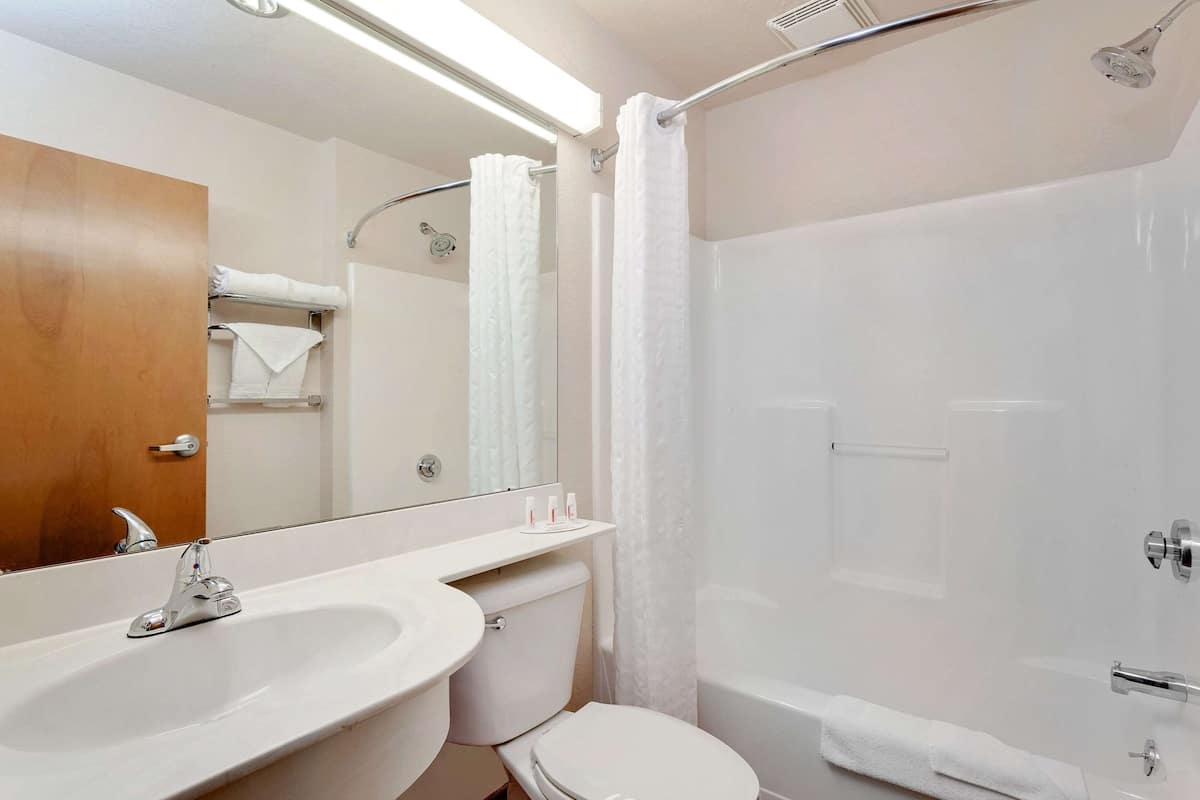 combined shower/bathtub, free toiletries, hair dryer, towels