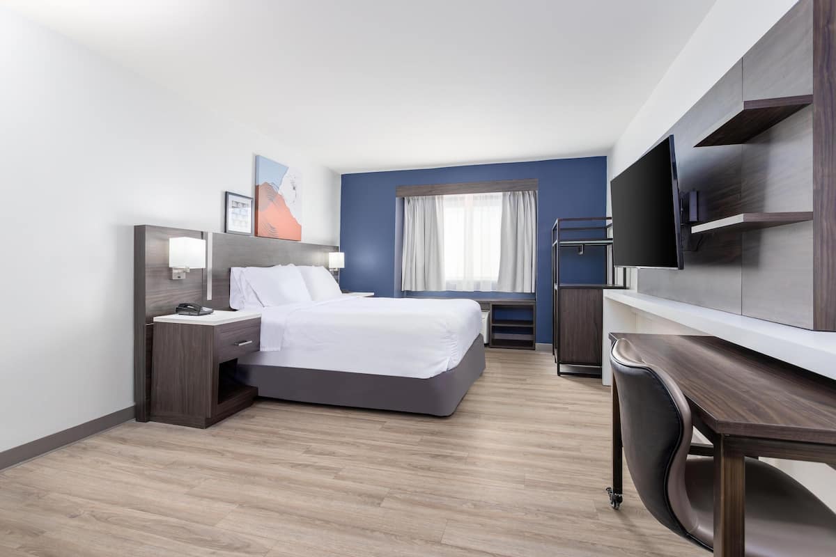 Habitación, 1 cama King size, con acceso para personas discapacitadas (Mobility, Roll-In Shower) | Escritorio, espacio para trabajar con laptop y cortinas blackout