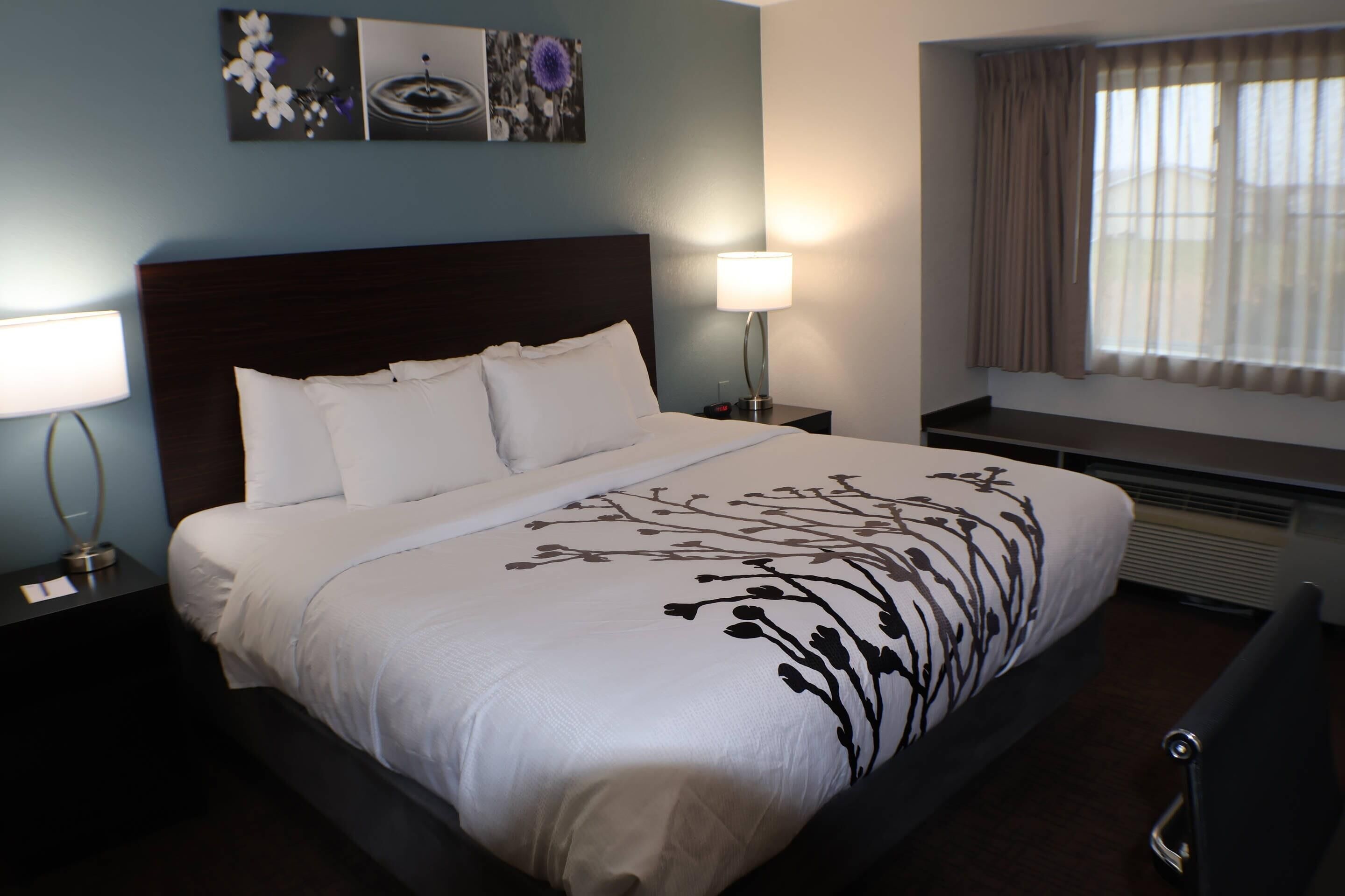 A neatly made bed with white linens and a black floral bedspread, a bedside lamp, a wall-mounted artwork, and a window with curtains.