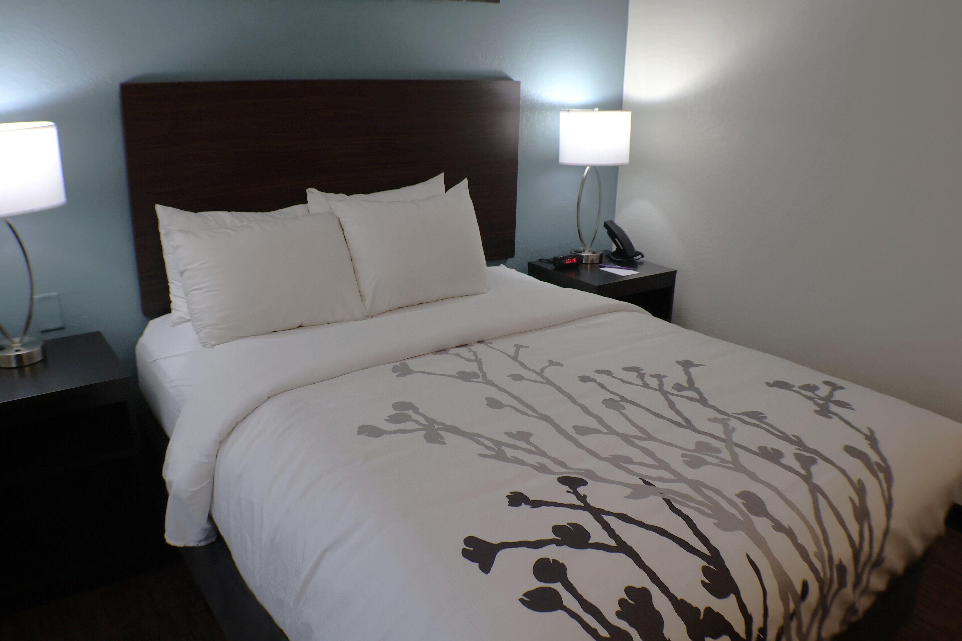 Standard Room, 1 Queen Bed, Non Smoking | 1 bedroom, pillow-top beds, desk, free WiFi