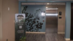 A hallway with a poster advertising local trails, a wall with a floral design, and an elevator. - Sleep Inn Marion - Cedar Rapids (Marion)