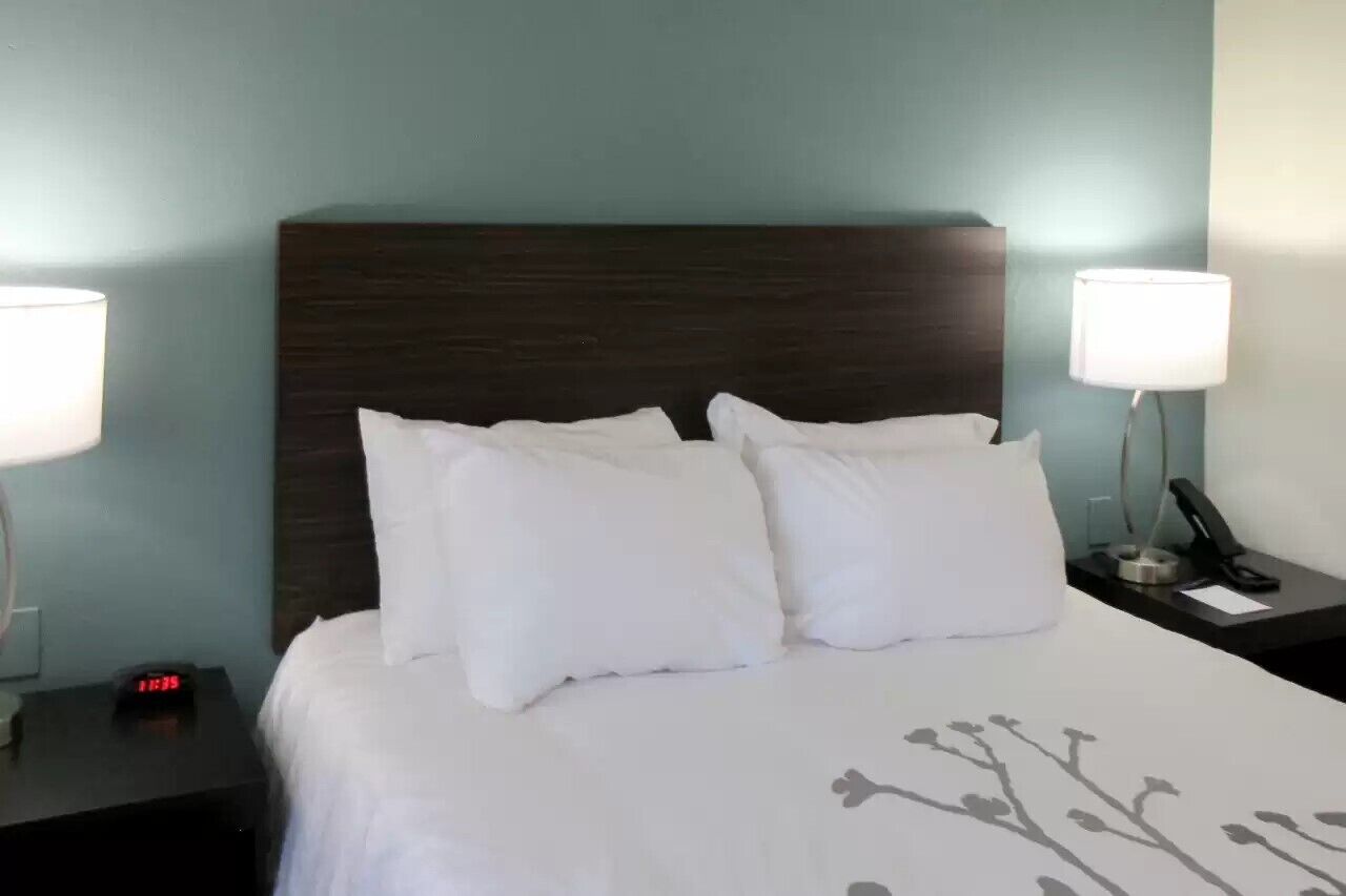 A hotel room with a large bed, two bedside lamps, a nightstand with a phone and a clock, and a wall clock on the nightstand.