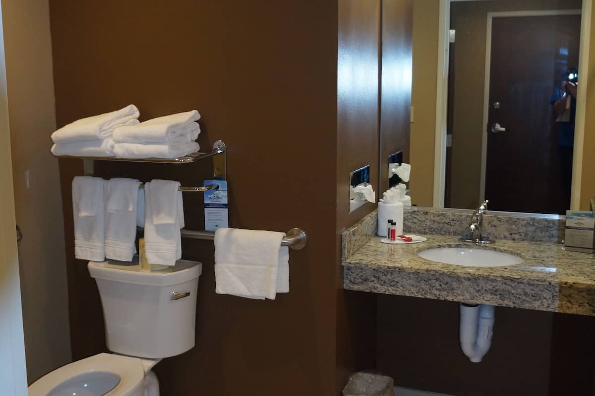 combined shower/bathtub, free toiletries, hair dryer, towels