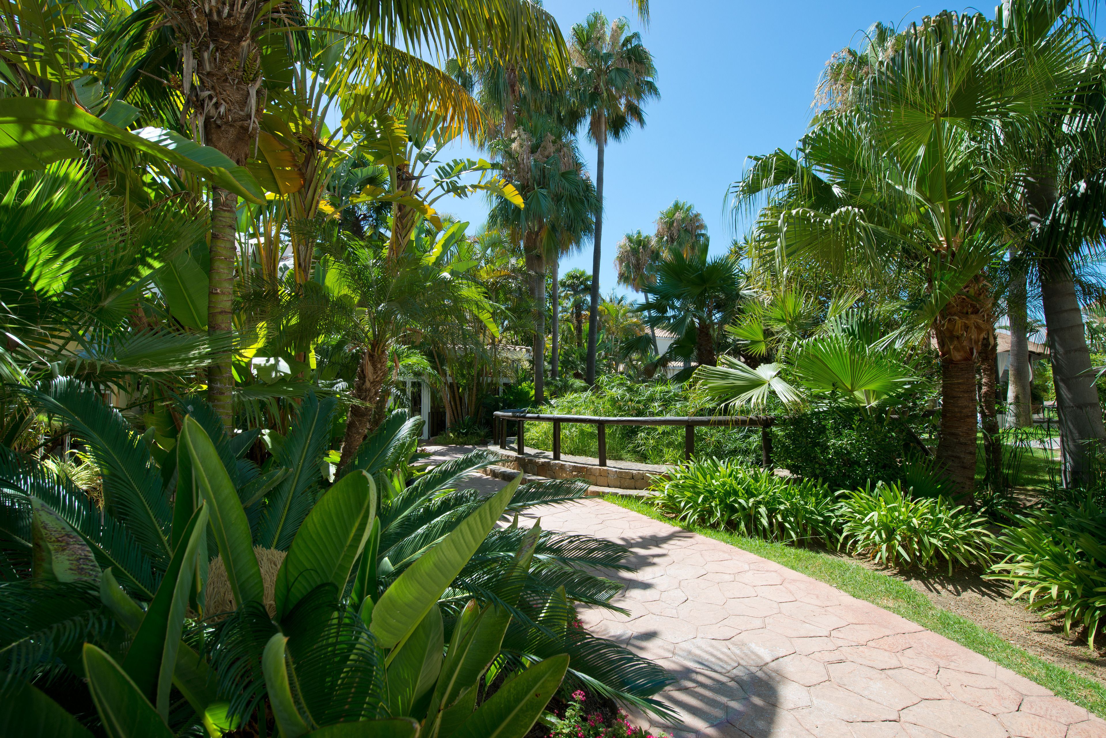 Photo - BlueBay Banús