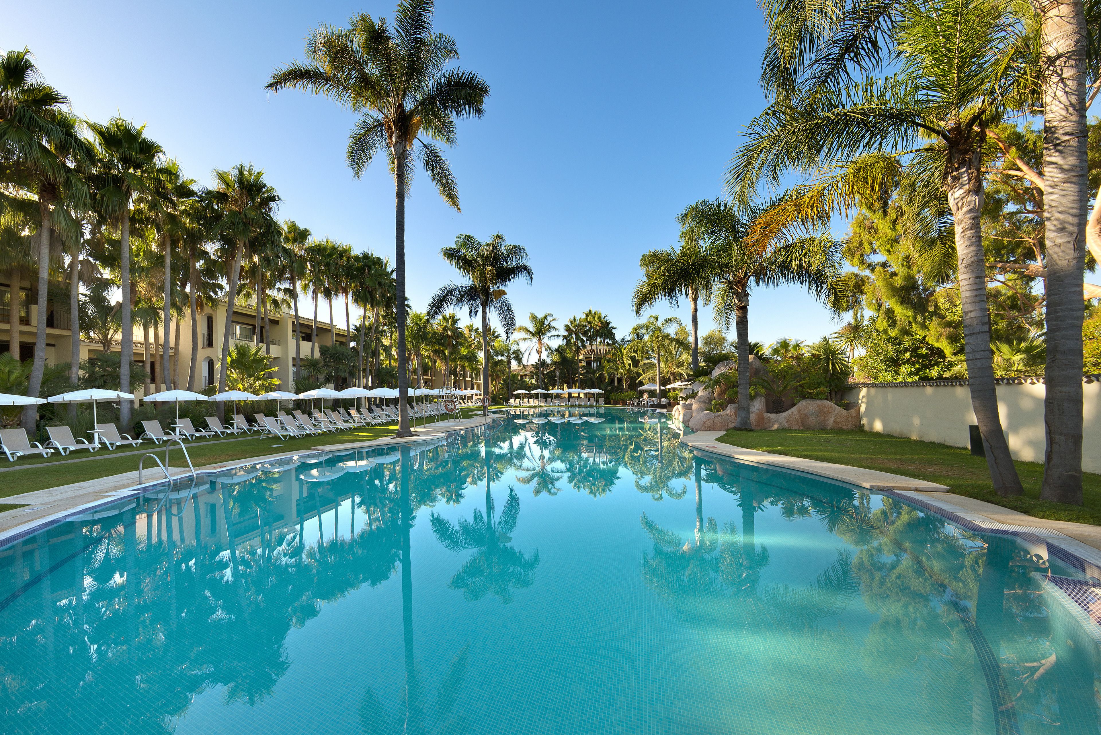Una piscina rodeada de palmeras y sillas de descanso.