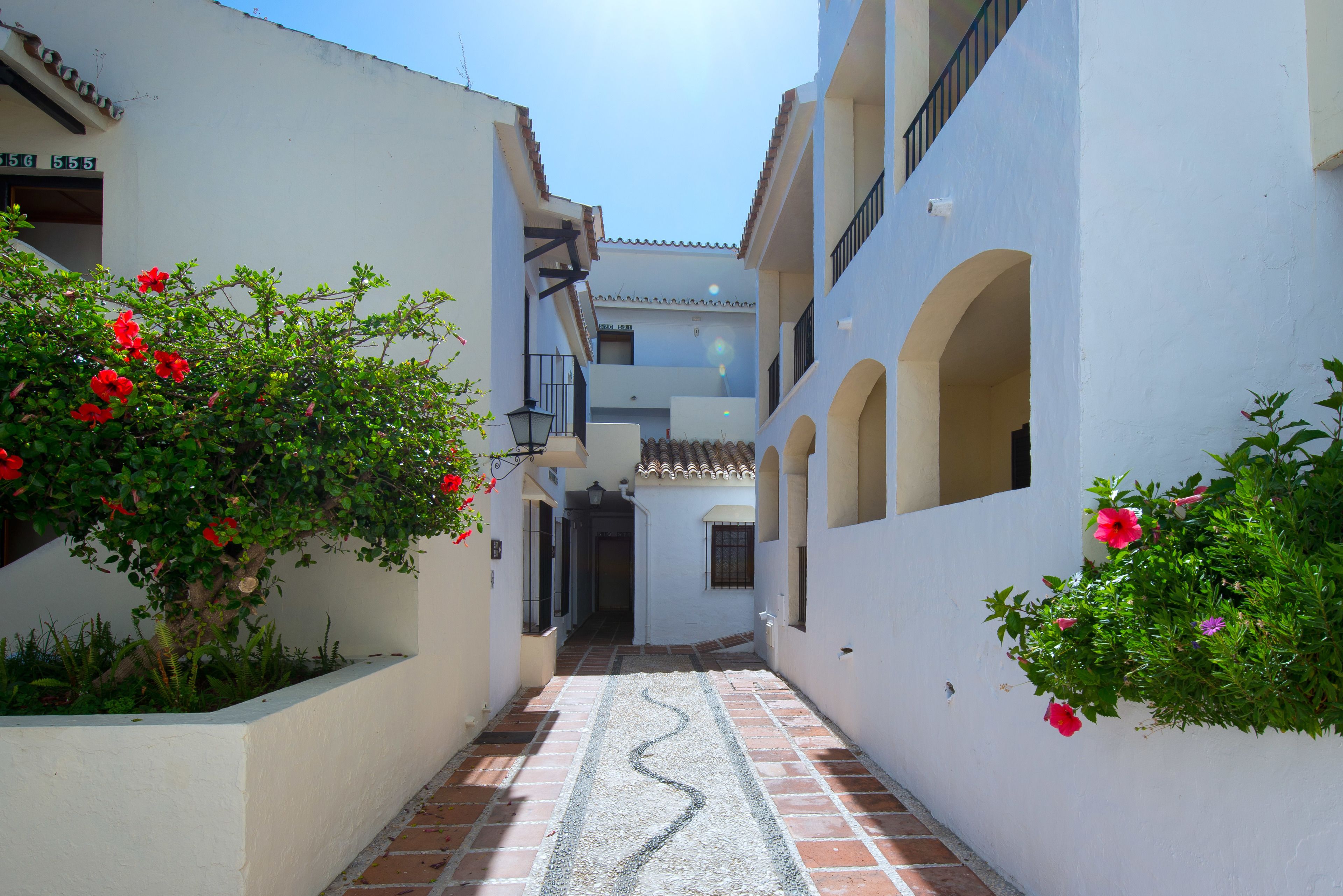 A narrow alleyway with white buildings, red flowers, and a tiled path.