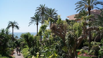 Un sendero bordeado de exuberante vegetación y palmeras, que conduce a un edificio con vista al mar.