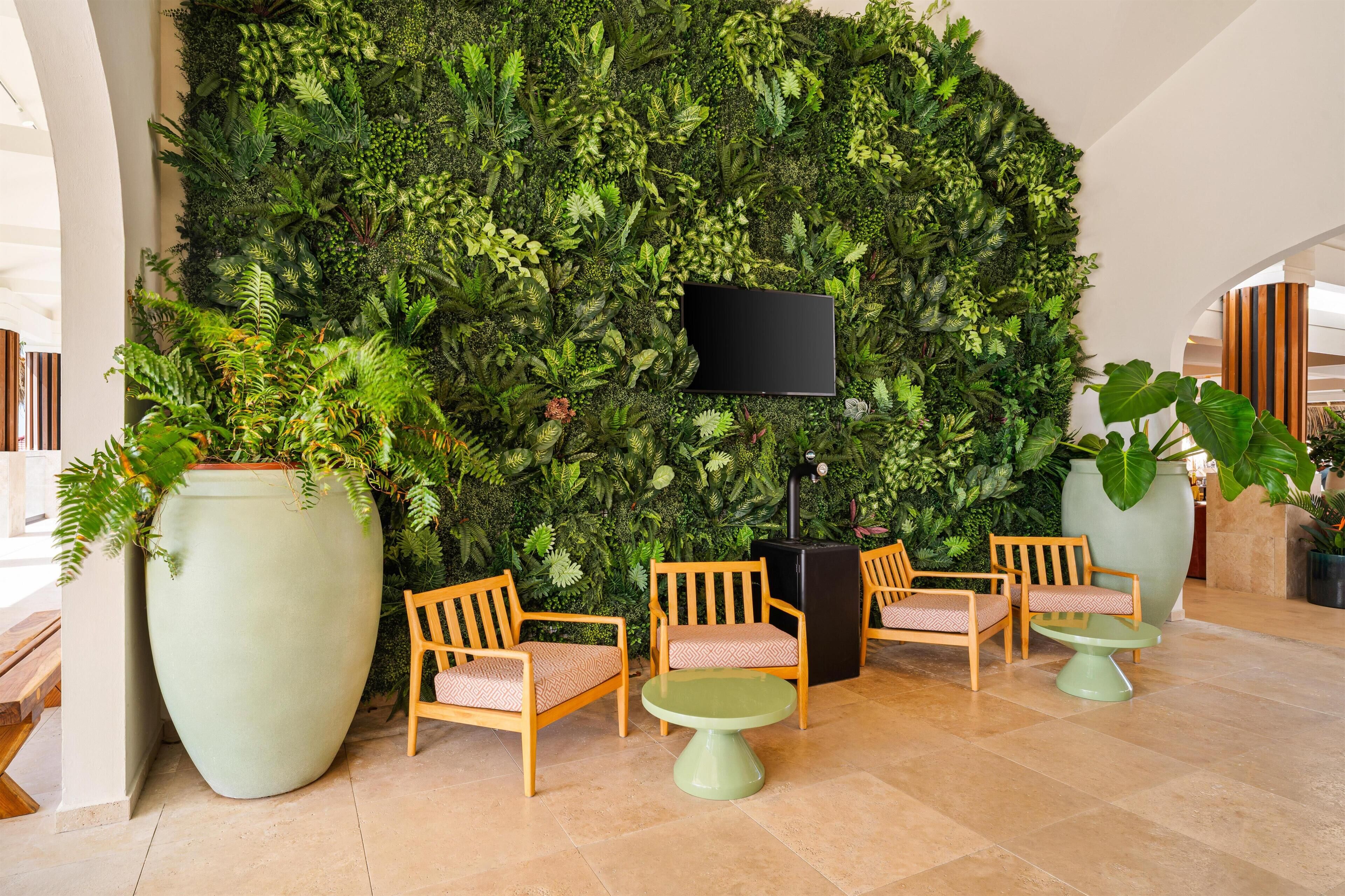 A lobby with a green wall, a large planter, and wooden chairs.
