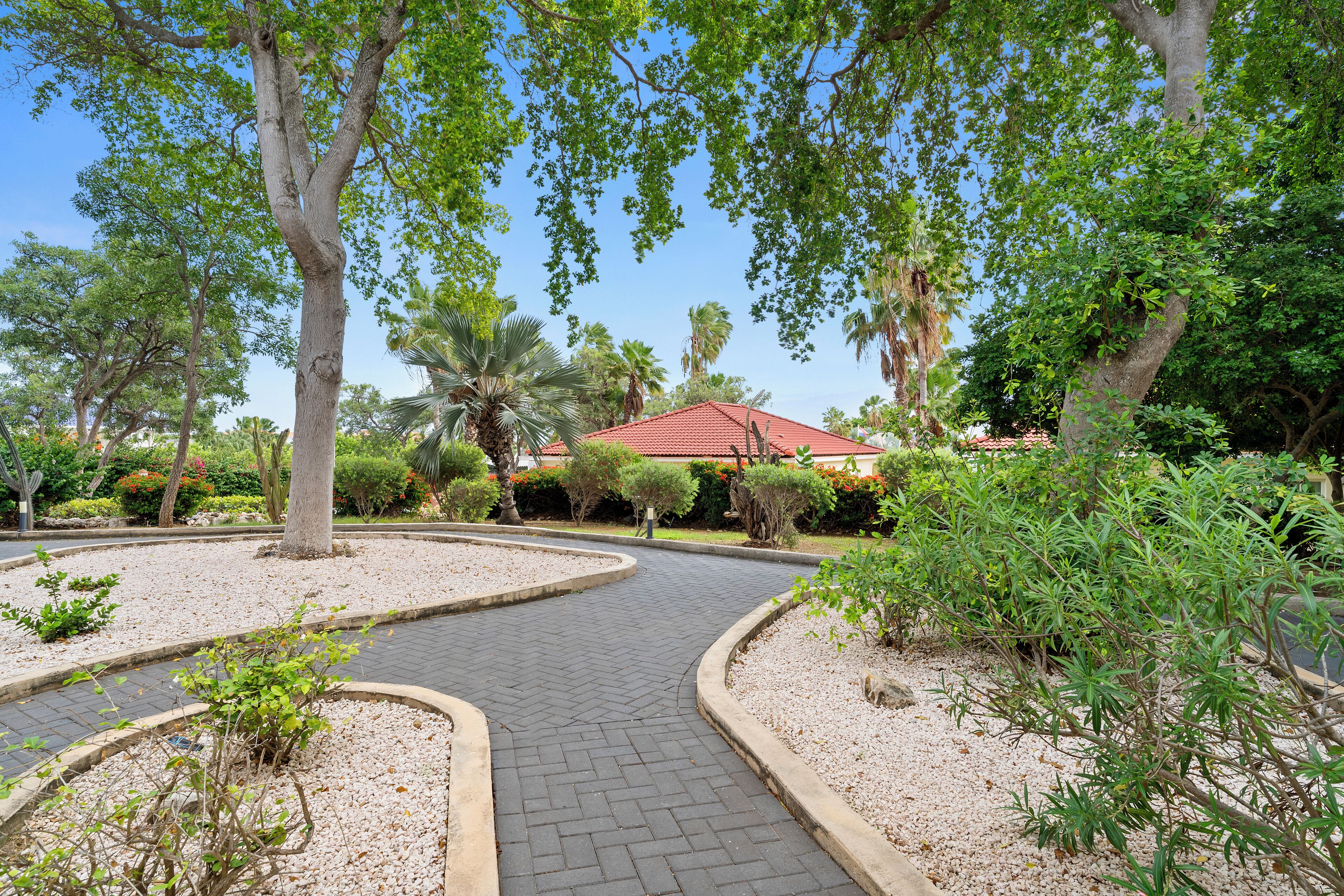Garden view